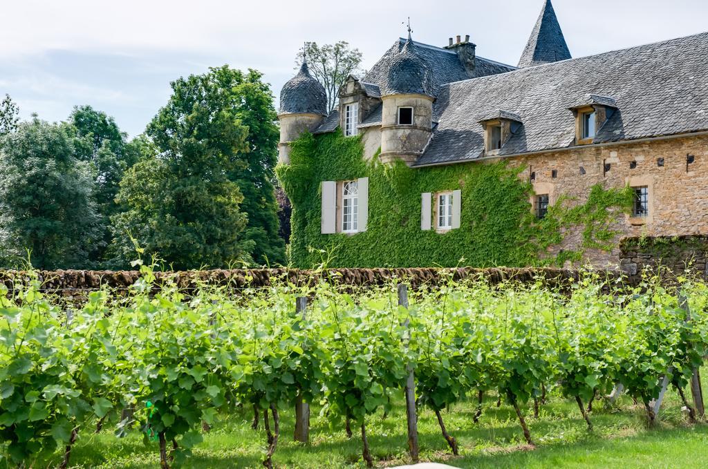 Chateau De Labro - Teritoria Onet-le-Chateau Luaran gambar